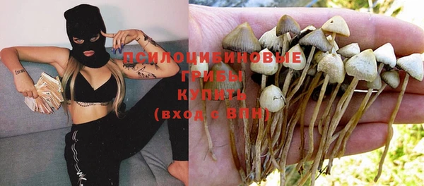 а пвп мука Балабаново