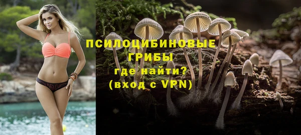 молекула духа Арсеньев