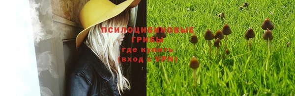 молекула духа Арсеньев