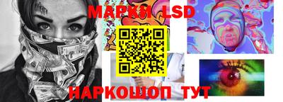 стафф Новокубанск