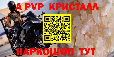 стафф Новокубанск