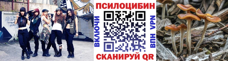 blacksprut зеркало  Радужный  Галлюциногенные грибы мицелий 