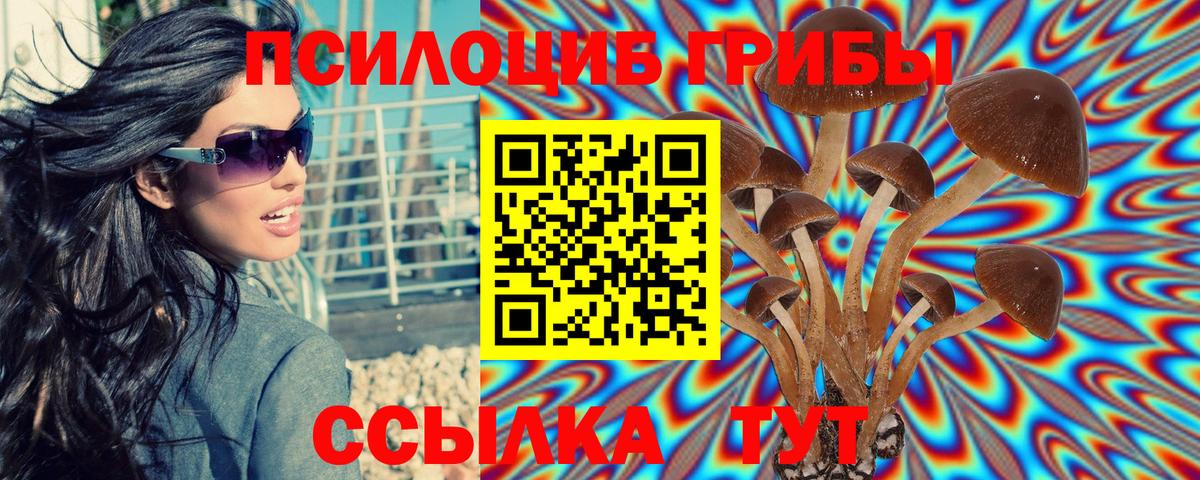 Радужный  Галлюциногенные грибы Cubensis  Вход с VPN 